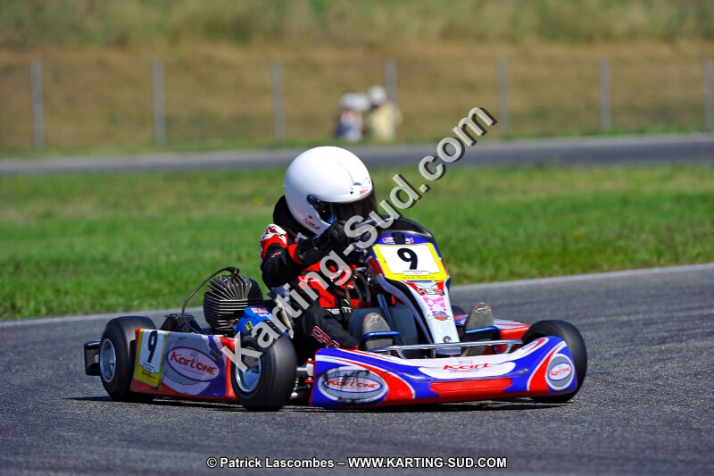 DSC_ (1365).jpg